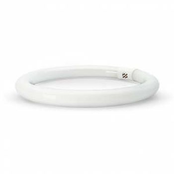 LAMP. FLUOR. CIRCULAR T9 ASLO - 22W