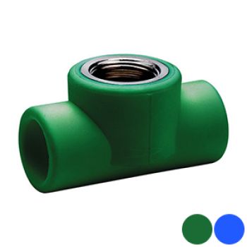 PPR-TE ROSC.FEMEA - 20X1/2"X20
