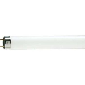 LAMP. TUBULAR FLUOR. T8 - 6500K - 18W