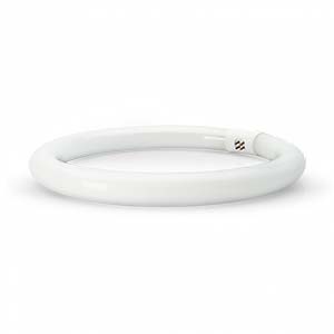 LAMP. FLUOR. CIRCULAR T9 ASLO - 22W